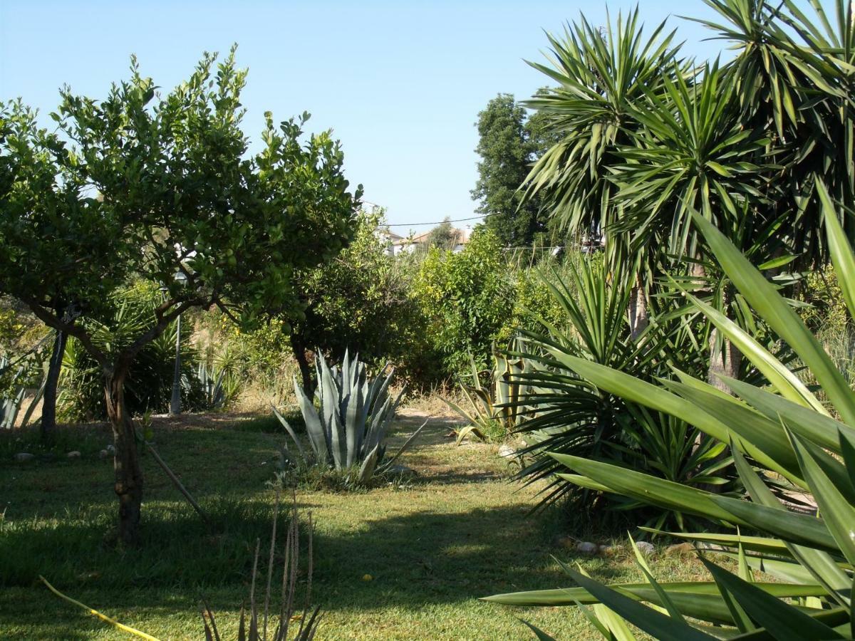 La Finca Blanca アロラ エクステリア 写真