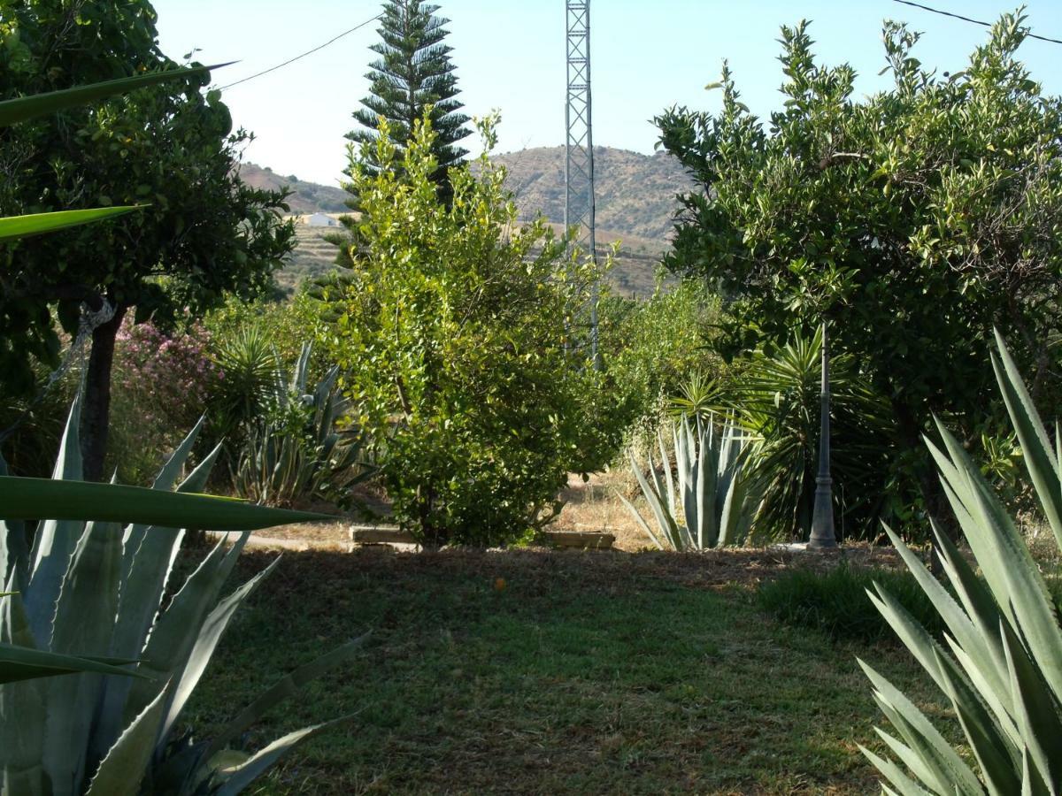 La Finca Blanca アロラ エクステリア 写真