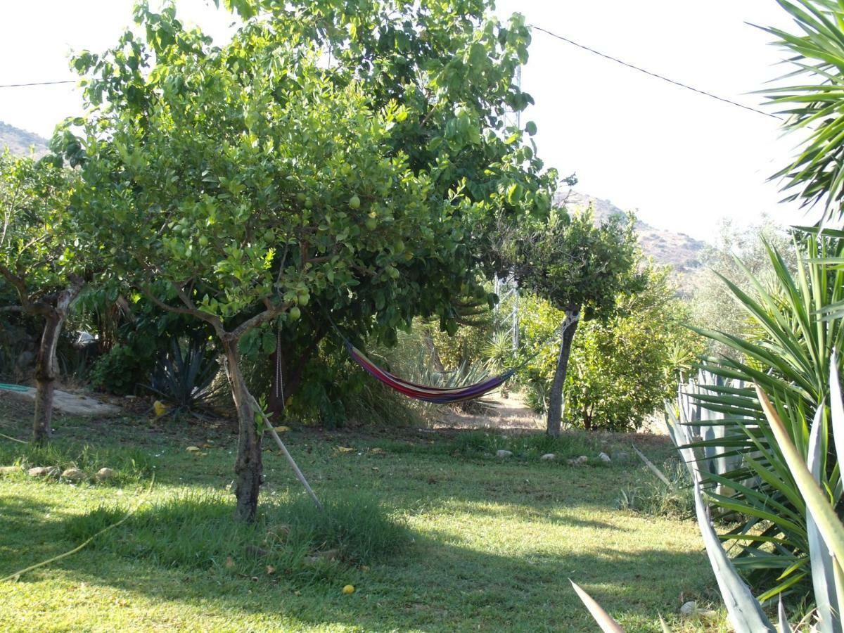 La Finca Blanca アロラ エクステリア 写真